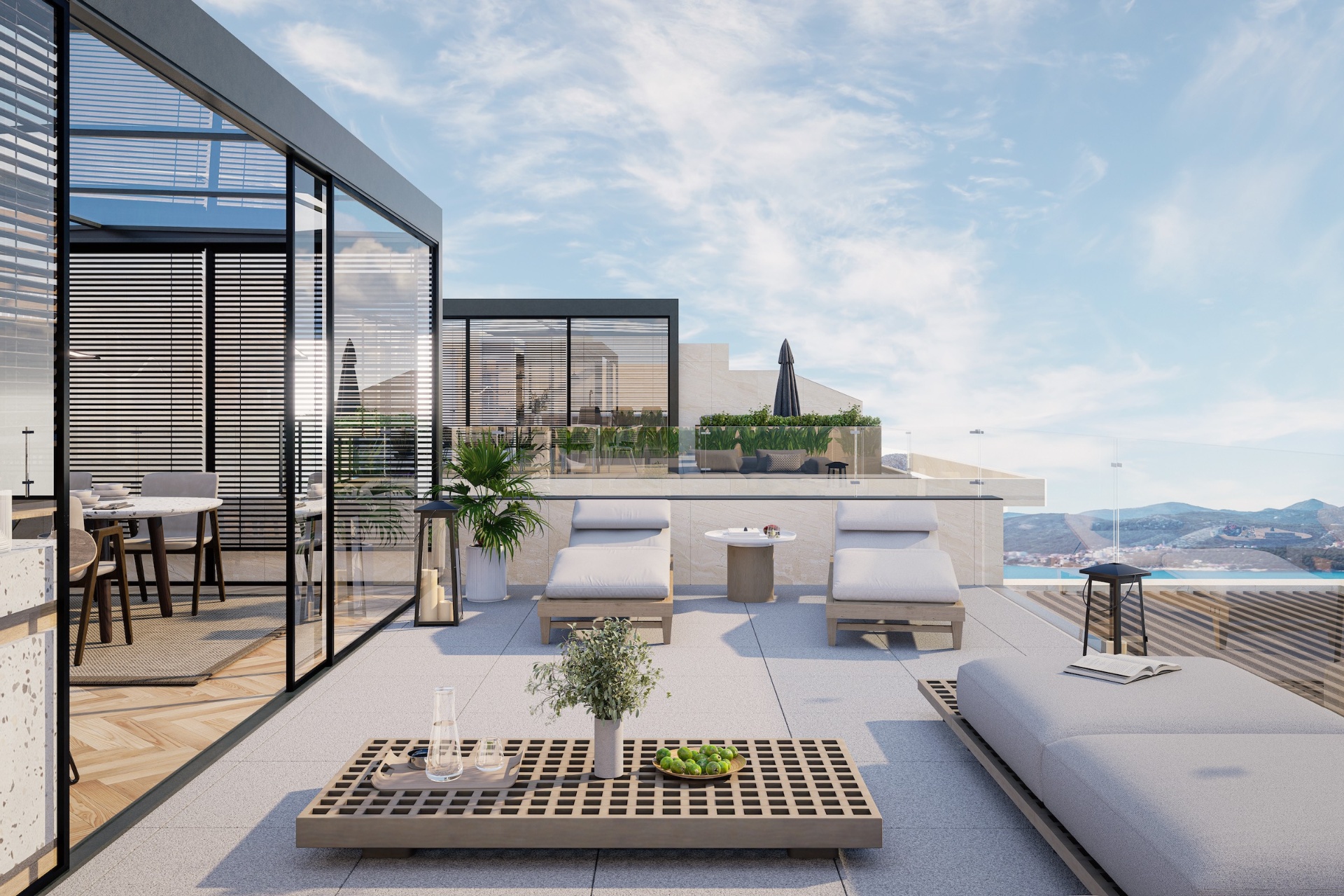 Penthouse rooftop terrace